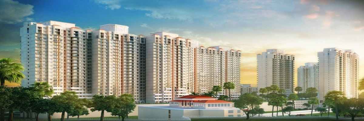 Prestige Evergreen Banner